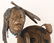 MARK HOPKINS WAKAN TANKA LIMITED ED BRONZE STATUE - 2