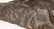 MARK HOPKINS WAKAN TANKA LIMITED ED BRONZE STATUE - 6