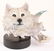 LIMITED EDITION ARCTIC MOON RICK CAIN RESIN STATUE