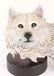 LIMITED EDITION ARCTIC MOON RICK CAIN RESIN STATUE - 3