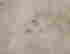item-64193660=4