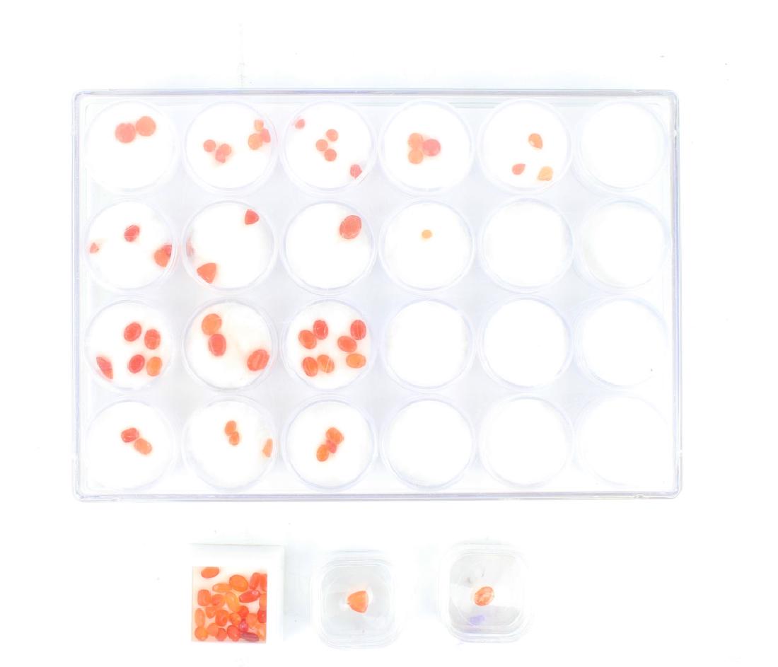 LOOSE CUT GEMSTONES - CARNELIAN: LOOSE CUT GEMSTONES - CARNELIAN Includes varied sizes, and cuts. Shipping / Pickup: We Can Ship This Item