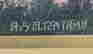 item-64194115=3