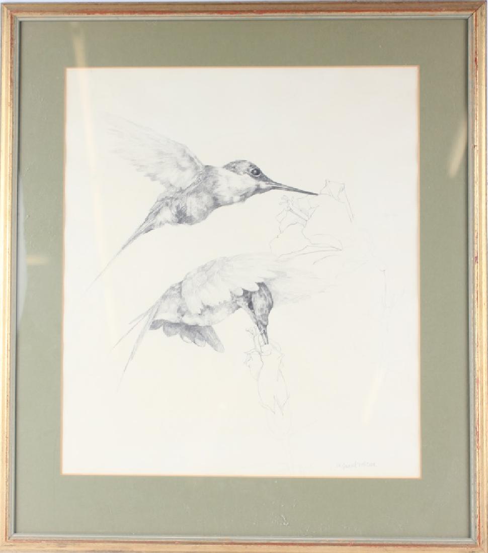 M. LAUREL MCCOOK HUMMINGBIRDS GRAPHITE ON PAPER (1 of 4)
