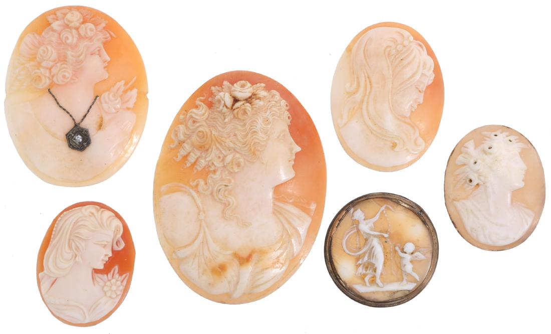 CARVED SHELL CAMEOS - LOT OF 6: CARVED SHELL CAMEOS - LOT OF 6 Carved shell cameos - lot of 6. Size: Largest 2"
