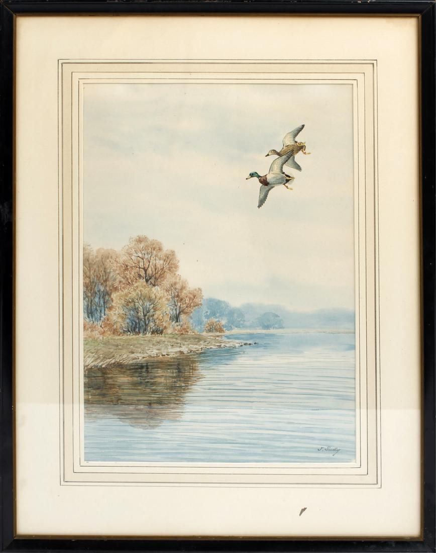 JOHN SUDY WATERCOLOR "MALLARDS OVER MARSH": JOHN SUDY WATERCOLOR "MALLARDS OVER MARSH" John Sudy (MD, 1880-1960) - "Mallards Over Marsh" A Pair of Ducks in Flight, Eastern Coastal Landscape scenery. Original watercolor on paper, signed "J. Sudy