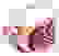 item-80961934=2