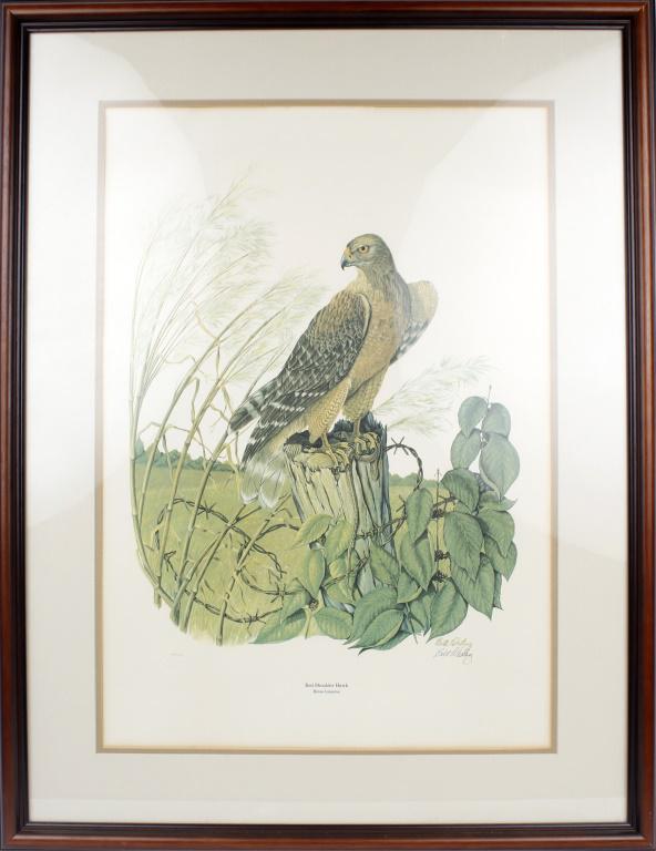 BILL WESLING RED SHOULDER HAWK PRINT (1 of 4)