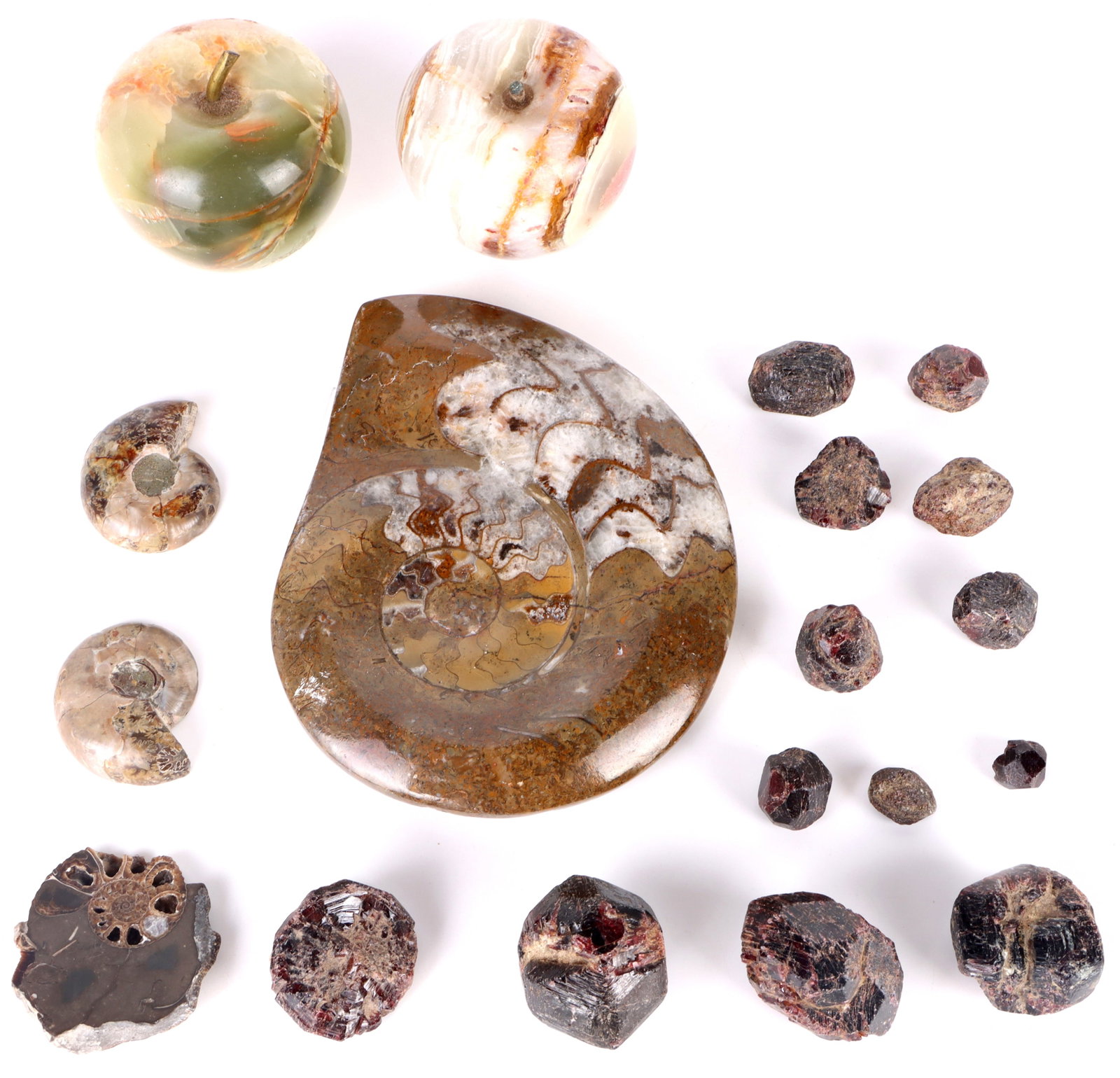 AMMONITE FOSSILS & CARVED & RAW GEMSTONES (1 of 4)