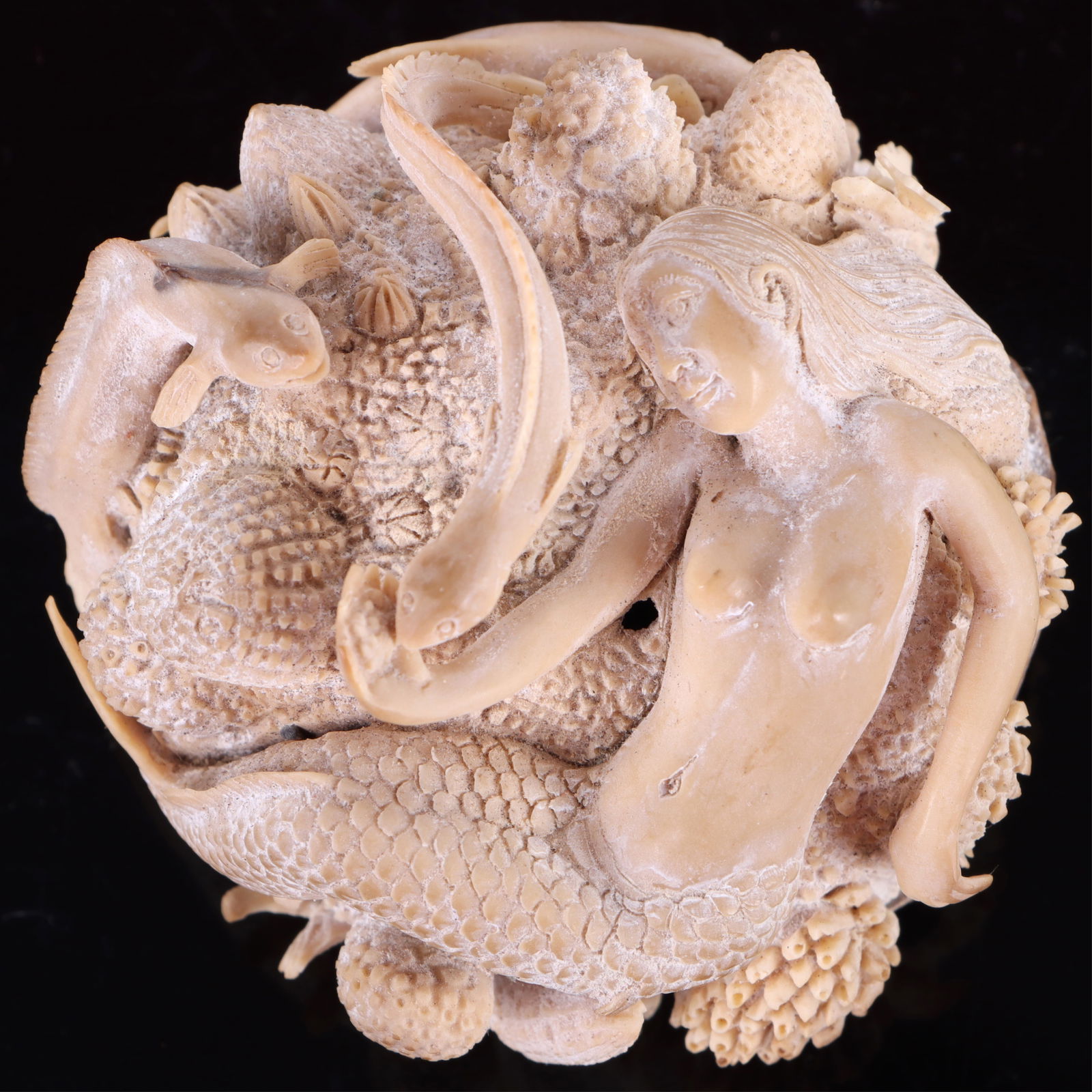 INCREDIBLY DETAILED PALM SEED MERMAID CARVING (1 of 5)