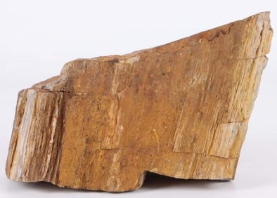 7.9LB PETRIFIED WOOD MINERAL SPECIMEN