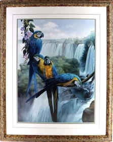'IGUAZU' BY GABRIEL EZCURRA 1994 PRINT FRAMED