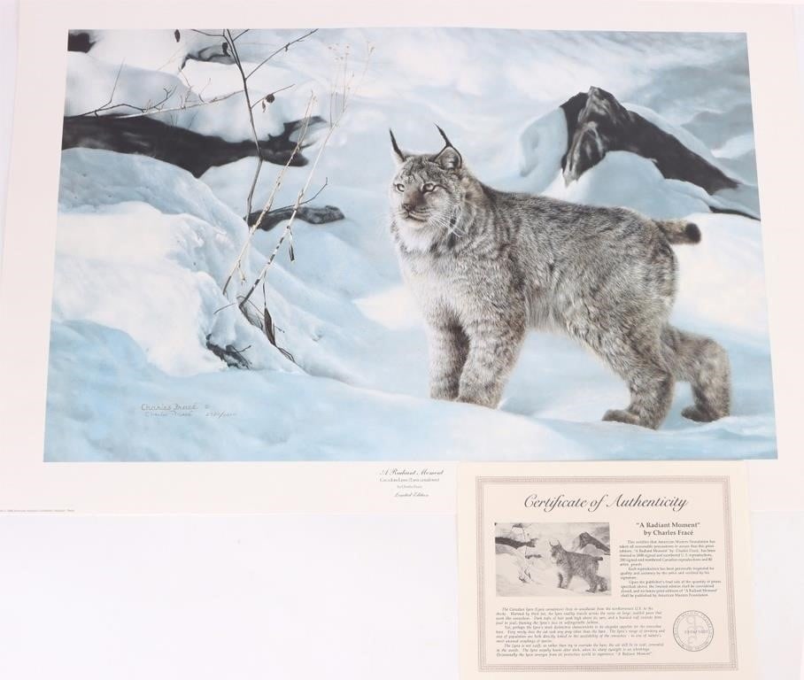 CHARLES FRACE A RADIANT MOMENT SIGNED LMTD PRINT (1 of 5)
