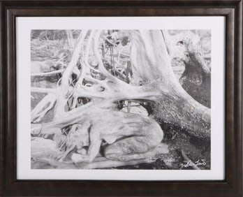 'ROOTED' SIGNED & FRAMED PRINT
