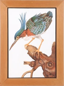 CRESTED KINGFISHER PAINTING BY KIKI WILKS FRAMED