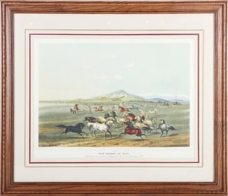 AFTER G. CATLIN 'WILD HORSES, AT PLAY' LITHOGRAPH