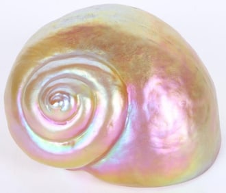 CARL RADKE PHEONIX STUDIO ART GLASS SHELL