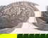 item-210656057=1