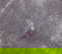 item-210656057=5