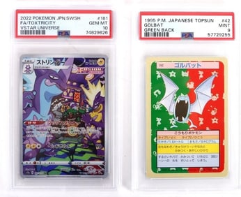 POKEMON PSA GRADED DUO COLLECTION