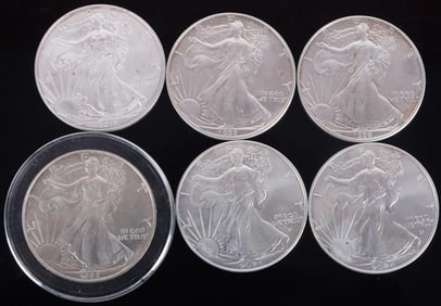 ASSORTED FINE SILVER EAGLE 1 OZ BULLION COINAGE(6)