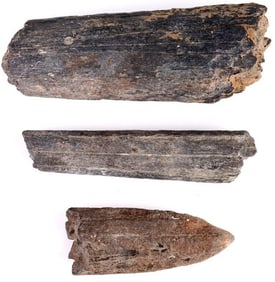 FOSSILIZED BILLFISH ROSTRUMS - LOT OF 3