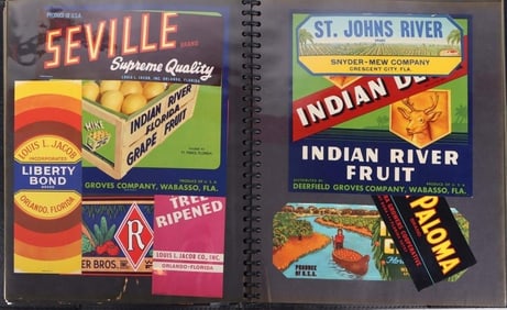 VINTAGE FLORIDA CITRUS FRUIT CRATE LABEL BINDER