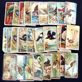 BIRDS OF AMERICA ALLEN & GINTER TOBACCO CARDS (31)
