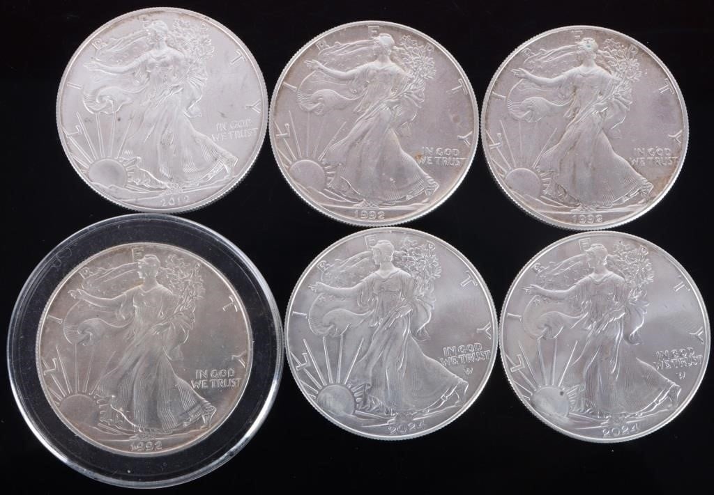 ASSORTED FINE SILVER EAGLE 1 OZ BULLION COINAGE(6) (1 of 2)