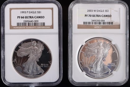 FINE SILVER 1993/2003 AMERICAN EAGLES NGC PF-66-70