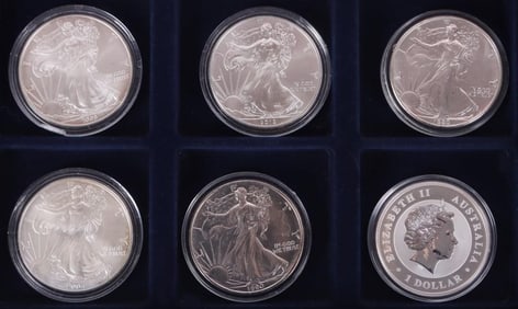 FINE SILVER ASSORTED 1 OZT BULLION COINAGE - (6)