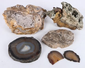 FOSSILS, GEODES, PETRIFIED WOOD & MINERAL LOT