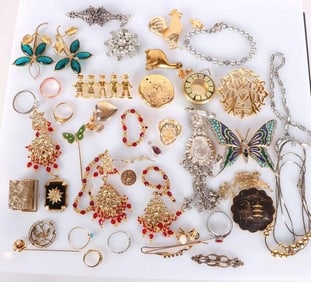MEGA-LOT LADIES JEWELRY NECKLACES BROOCHES (46)