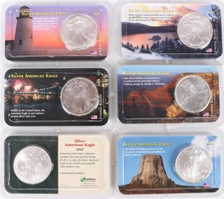 FINE SILVER MS AMERICAN EAGLES LITTLETON COA - (6)