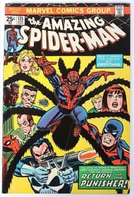 THE AMAZING SPIDER-MAN #135 3RD ISSUE W/ PUNISHER