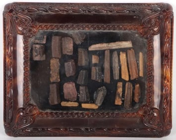 FRAMED COLLECTION OF PETRIFIED FOSSILS & WOOD