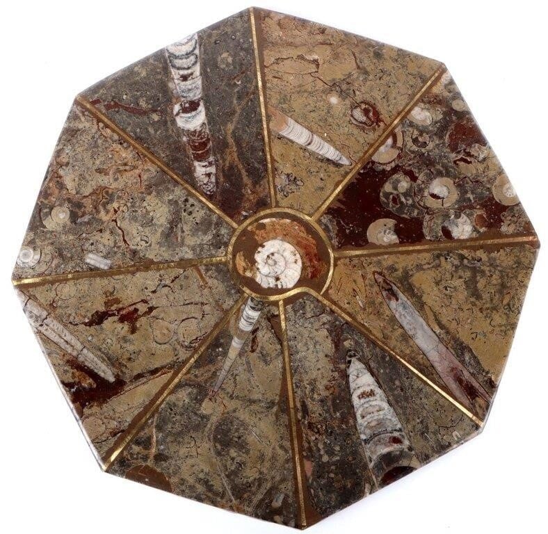 OCTAGON ORTHOCERAS & AMMONITE FOSSIL PLATTER: Octagon Orthoceras & Ammonite fossil display platter. This beautiful display platter has gold accents dividing the sediments adding an extra element to this already amazing piece.Size: 12.25" x 12.25"