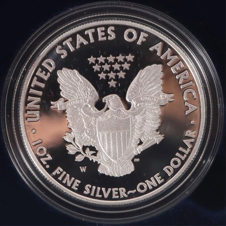 FINE SILVER PROOF 2010 & 2011 W AMERICAN EAGLES - 3
