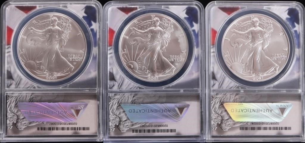 FINE SILVER 1OZT AMERICAN EAGLES ANACS MS-70 - (3) (1 of 7)