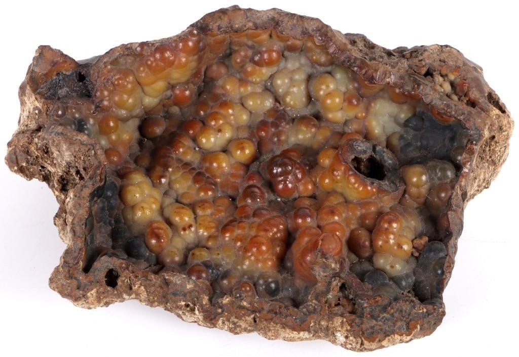 2.64LBS NATUAL FOSSILIZED AGATIZED CORAL: 2.64lbs natural fossilized coral specimen. Condition: Very fine. Mineral specimens