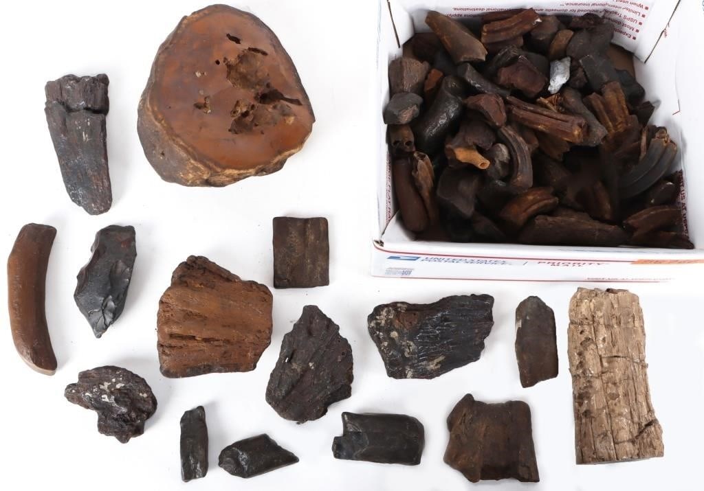 COLLECTION OF PETRIFIED WOOD & FOSSILS: Collection of petrified fossilized wood and other fossils and stones. This lot includes one large fossilized agate, and a mixed collection of ~60 pieces of petrified wood and bones of various sized,