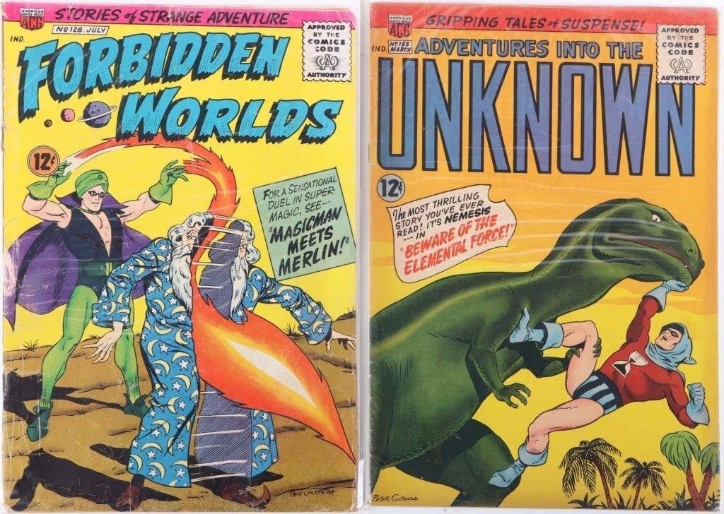 AMERICAN COMICS GROUP SILVER AGE COMICS (2): Lot of two American Comics Group Silver Age comics, to include Forbidden Worlds # 128 and Adventures into the Unknown # 155. Condition: See pictures. Comic books ACG Silver Age (1956-1970) Raw Book(s)