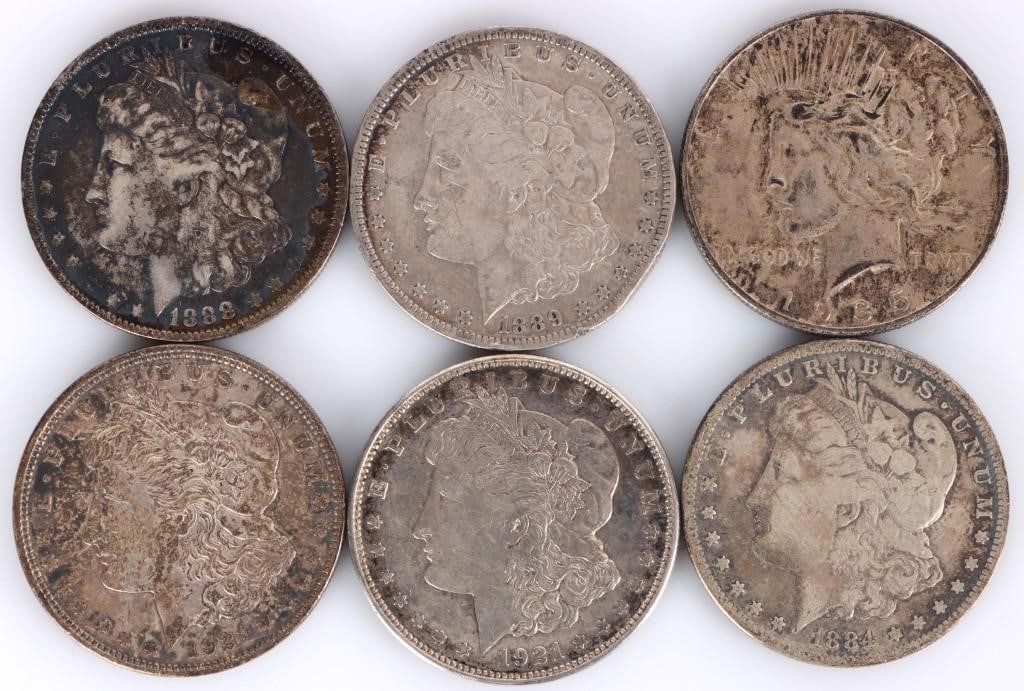 ASSORTED 90% SILVER MORGAN/PEACE DOLLARS - (6) (1 of 7)