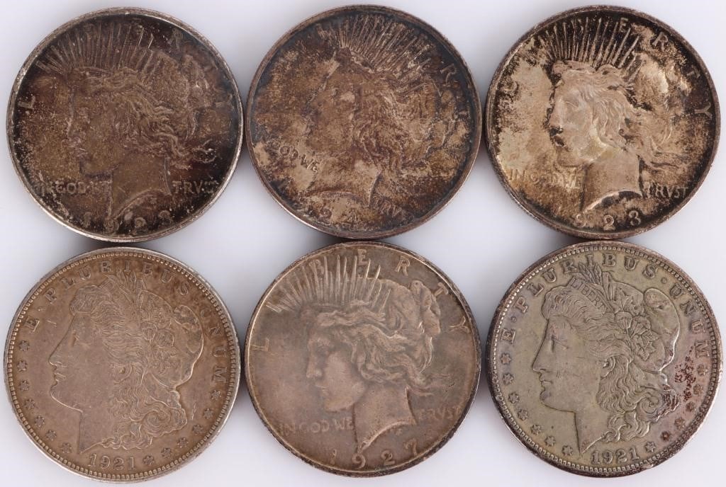 ASSORTED 90% SILVER MORGAN/PEACE DOLLARS - (6) (1 of 7)