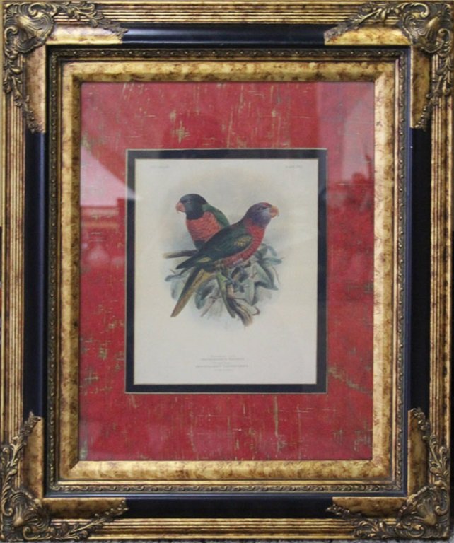 AFTER MIVART MASSENA'S LORIES COLOR LITHGRAPH (1 of 5)