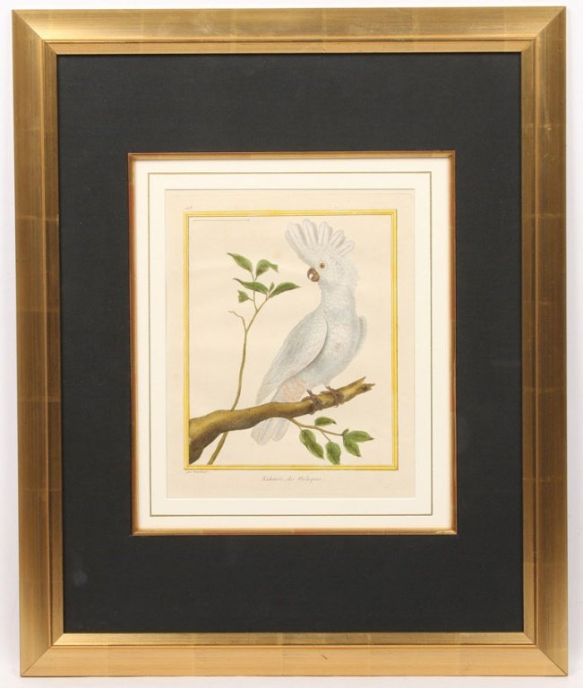 FRANCOIS MARTINET HAND COLORED ENGRAVING FRAMED (1 of 7)