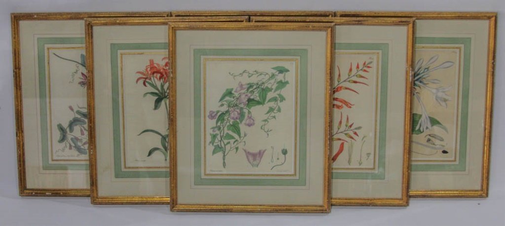 (6) HENRY C ANDREWS HAND COLORED ENGRAVINGS (1 of 5)