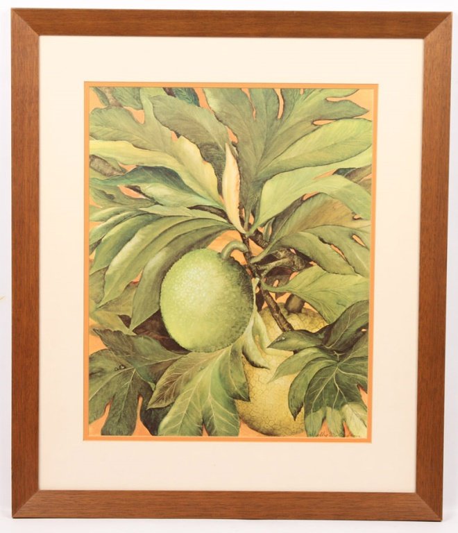 AVOCADO BOTANICAL PRINT FRAMED (1 of 5)