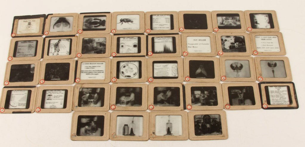 LOT OF (36) MAGIC LANTERN SLIDES - TRAP THE FLY (1 of 10)