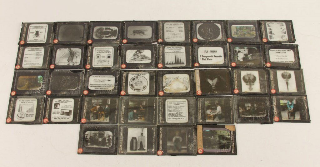 LOT OF (36) MAGIC LANTERN SLIDES - TRAP THE FLY (1 of 10)
